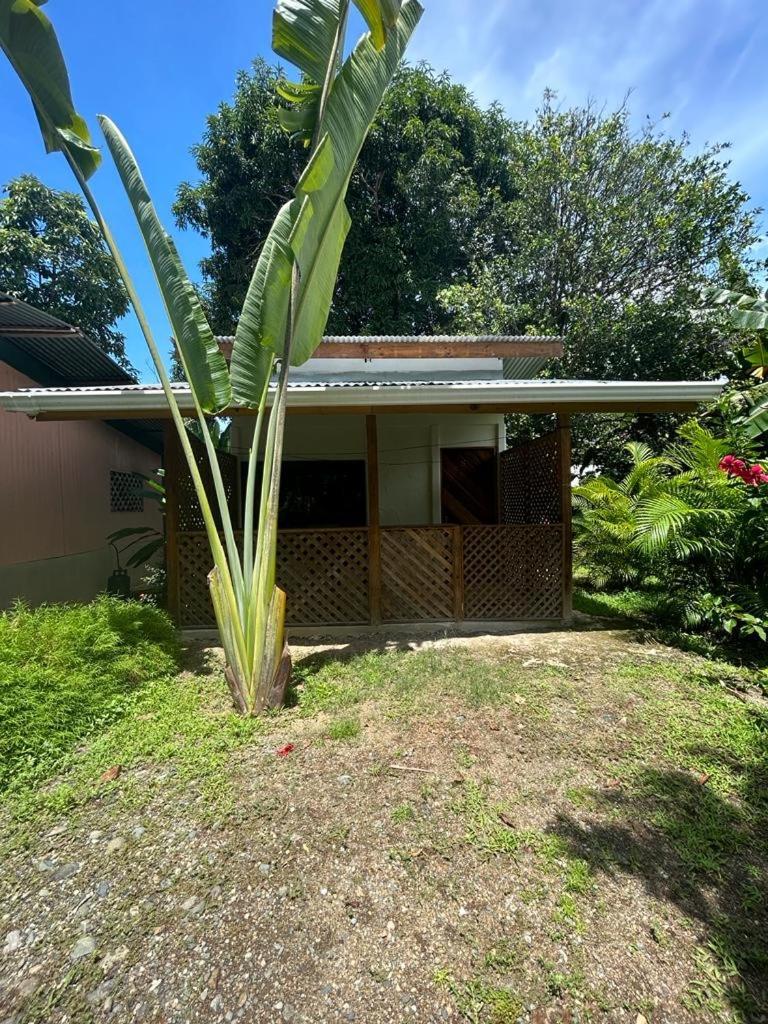 Ballena Oasis Homes Uvita Zewnętrze zdjęcie
